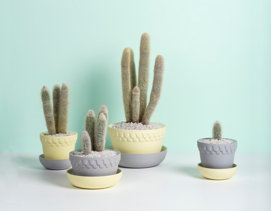 Mix and Match Planter Pots Angus and Celeste 