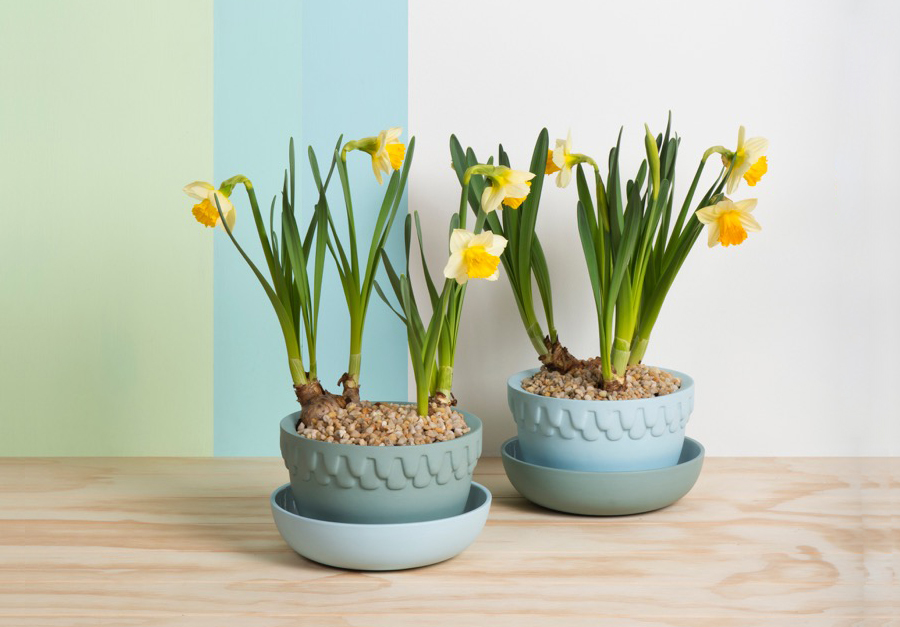 Mix and Match Planter Pots Angus and Celeste